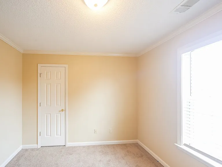 8579 Brer Bear Cv — Photo 11