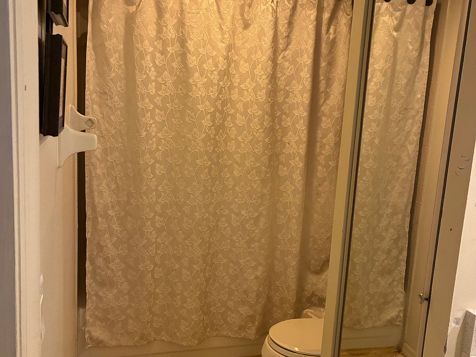 2 bed, $900 — Photo 4