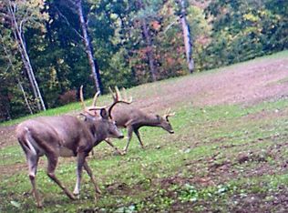 Virtue Rd, Newcomerstown, OH 43832