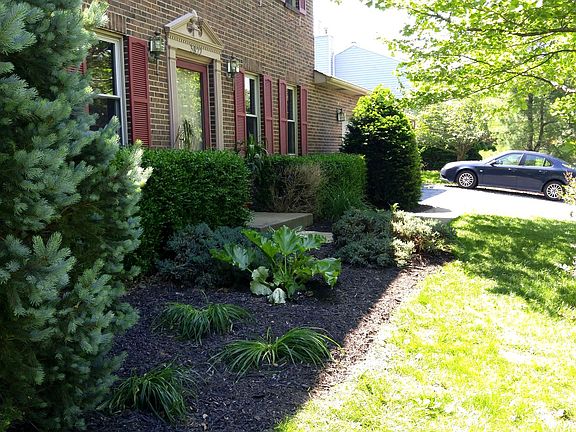 3rd image of 2822 Forest Manor Ave