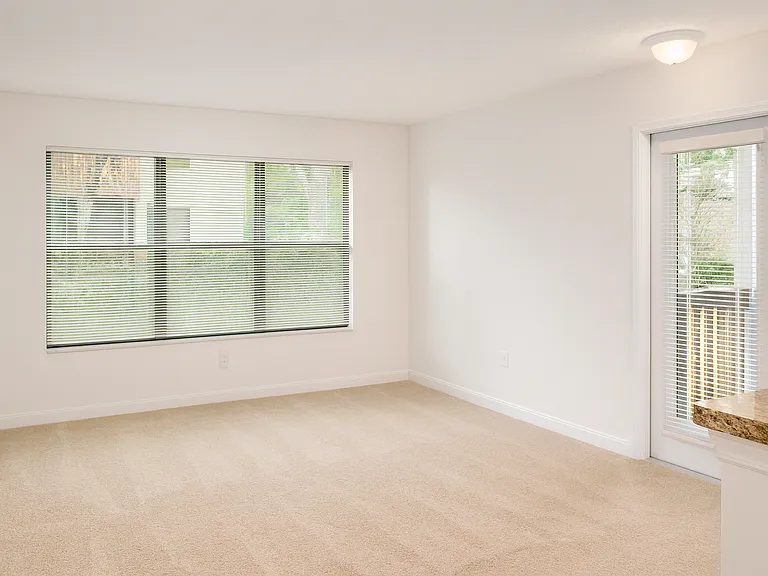 1401 S Palmetto Ave #215 — Photo 11