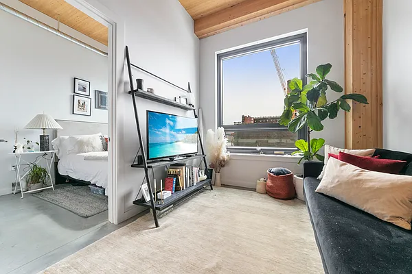 Rented by MNS | media 15