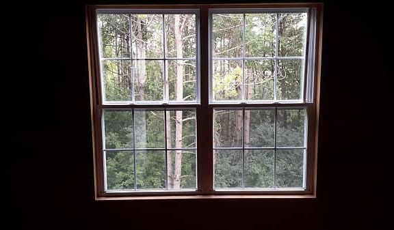 View from Living Room Window