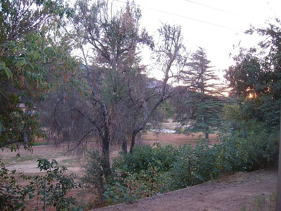 VIEW FROM LIVING ROOM