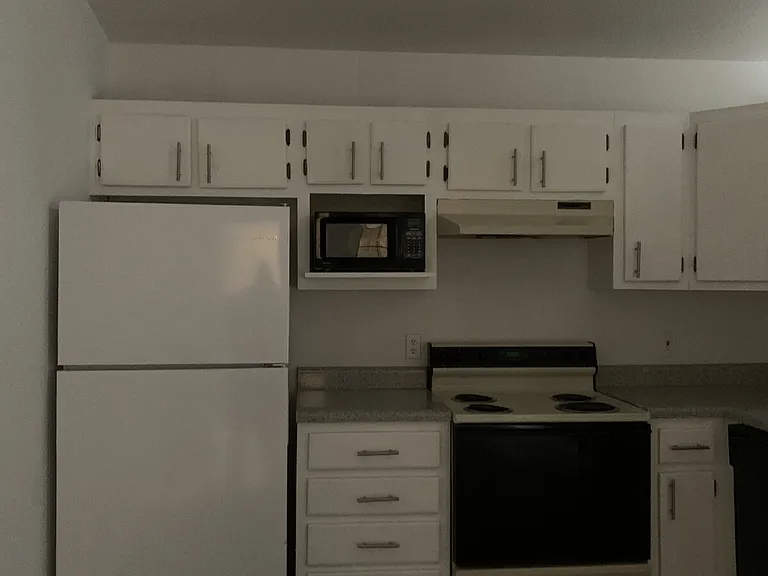 1115 W Jefferson Ave E #E — Photo 16