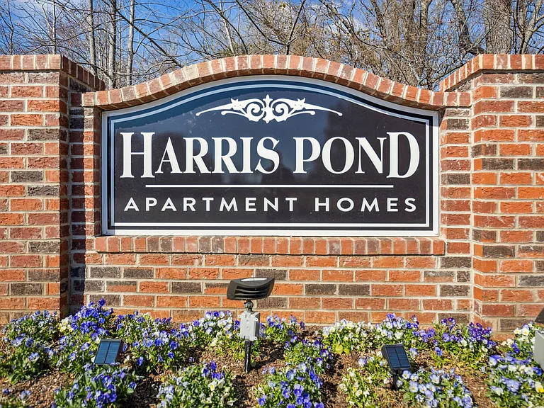 Harris Pond — Photo 39