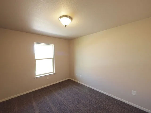 4505 Barrington Trl — Photo 12