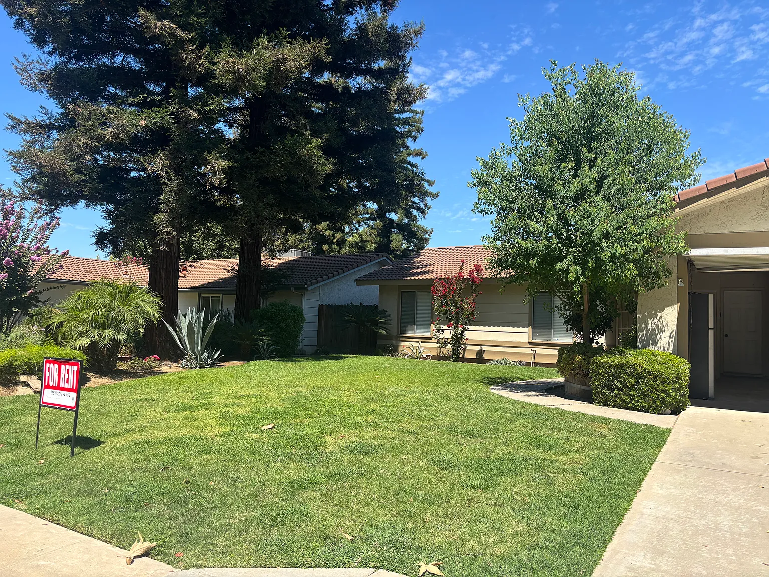 3 bed, 1131 sqft, $2,100 — Photo 4