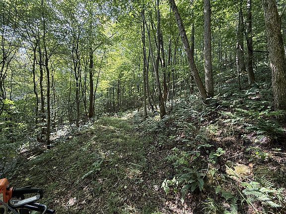 3rd image of 0 Davis Hollow Rd