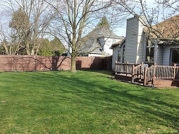 Beautiful green grass.