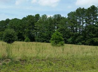 2 Chop Rd, Santee, SC 29142