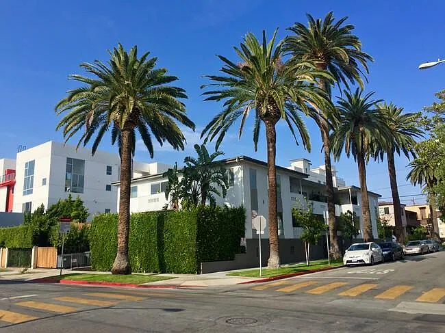 1 bed, 900 sqft, $3,450 — Photo 1