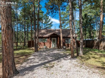 509 Dallas Aly, Woodland Park, CO, 80863