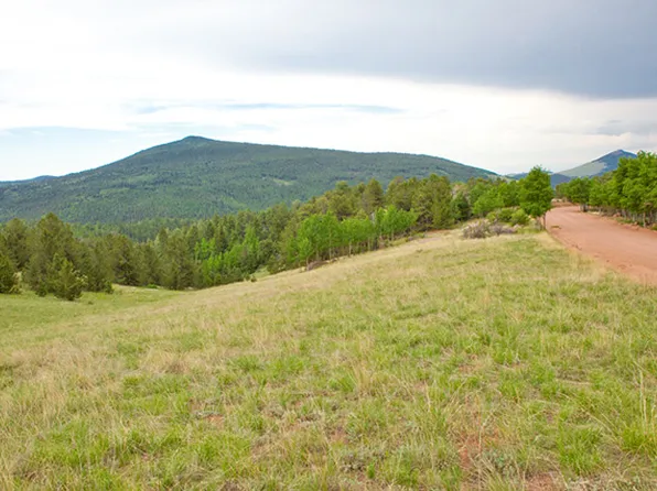 1491 Fairview Dr, Cripple Creek, CO 80813