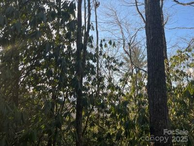 0 Rules Run Rd #31A, Clyde, NC, 28721