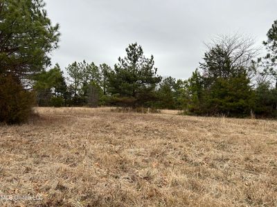 3.0 Arces Payne Ln, Olive Branch, MS, 38654