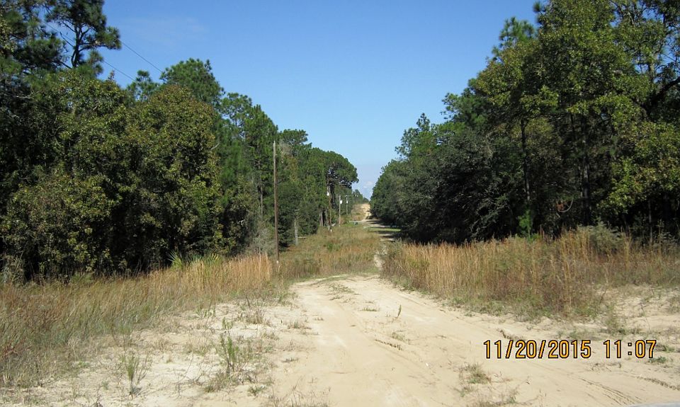 2nd image of 419 Pheasant Rd