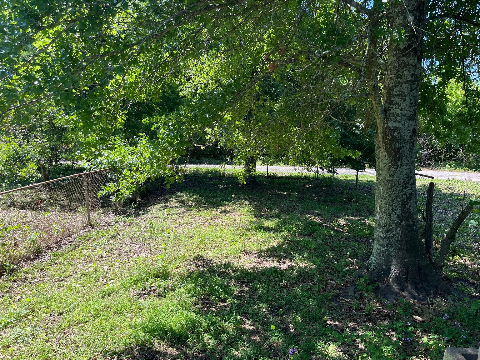 2902 Winston St — Photo 4