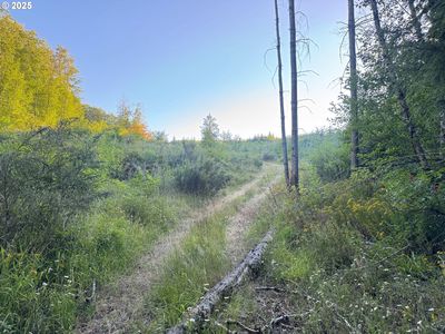 Pittsburg Rd, Saint Helens, OR, 97051