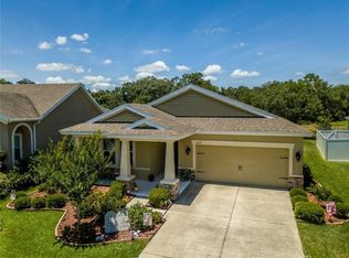 6259 Hawk Grove Ct, Wesley Chapel, FL 33545