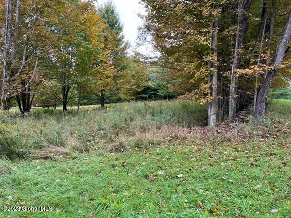 156 Akita Lane, Jefferson, NY 12093