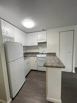 Rented by Voro NYC | media 18