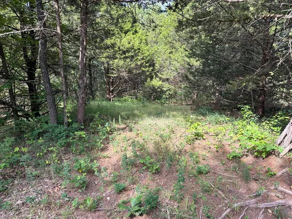 0000 Blackfoot Road, Fordland, MO 65652