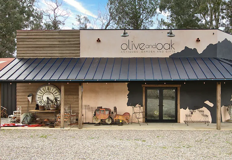 Olive and Oak in Santa Ysabel