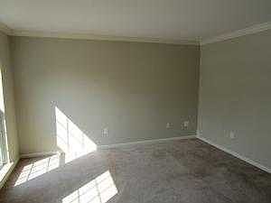 interior photos