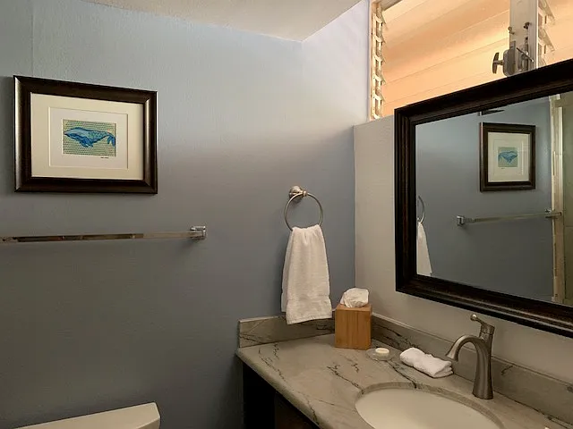 4365 Lower Honoapiilani Rd #203 — Photo 9
