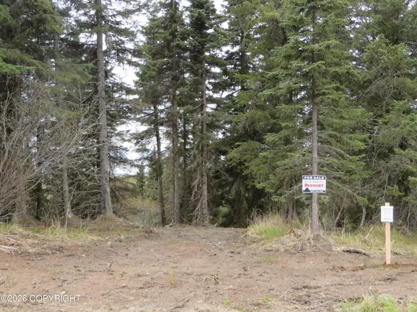 L1 Sterling Hwy, Clam Gulch, AK 99568