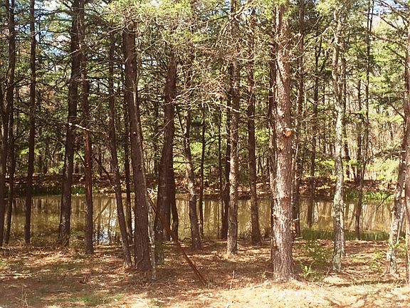 Pond View From front Porch