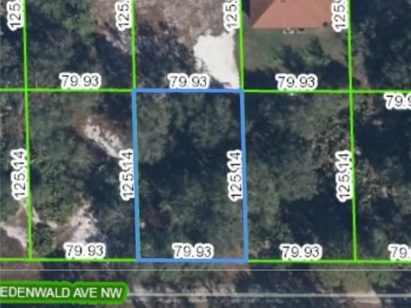 109 Edenwald Ave NW, Lake Placid, FL 33852
