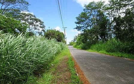 2nd image of 35th Ave Lot 4