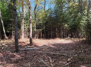 LOT 1 Beaver Trl #37, Alder Creek, NY 13301