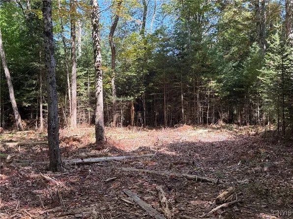 LOT 1 Beaver Trl #37, Alder Creek, NY 13301