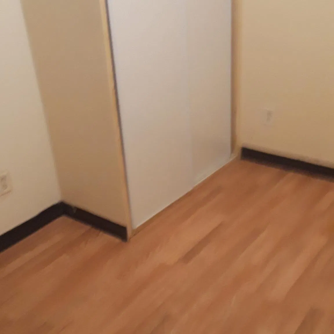 3 bed, 1.5 bath, 1110 sqft, $1,250 — Photo 4
