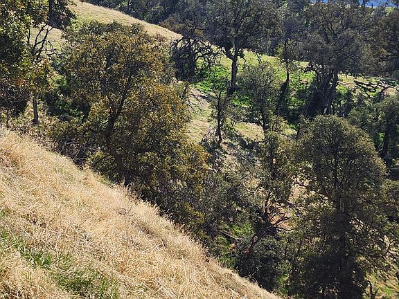 5th image of 40 Seminole Rd