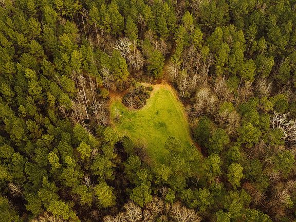 132 Copiah Bs Pics 5