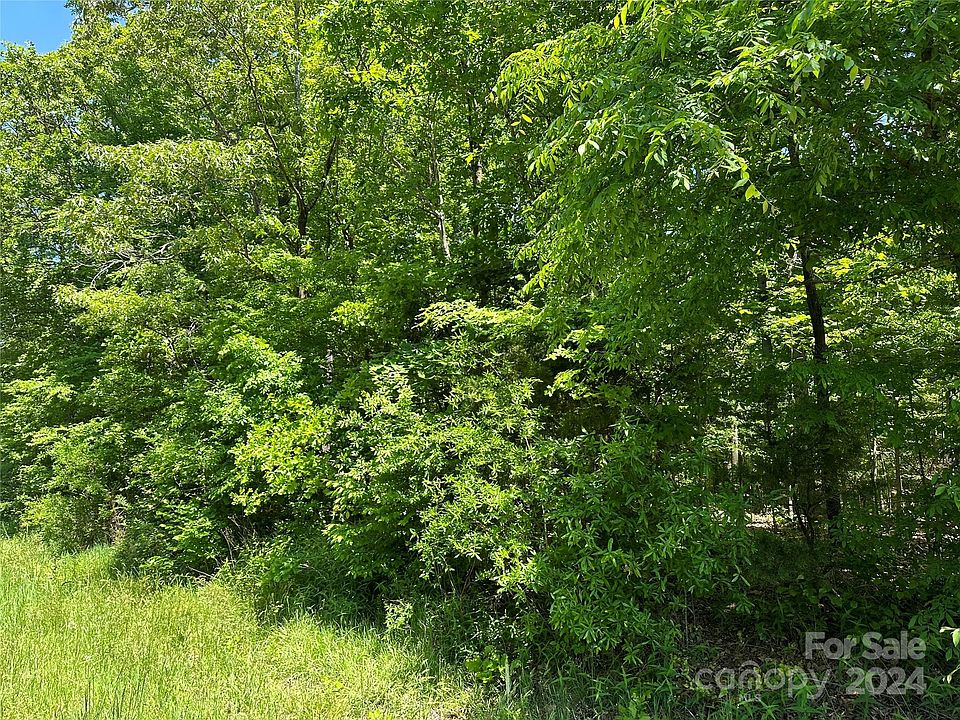 2nd image of 0 Forest Hills School Rd
