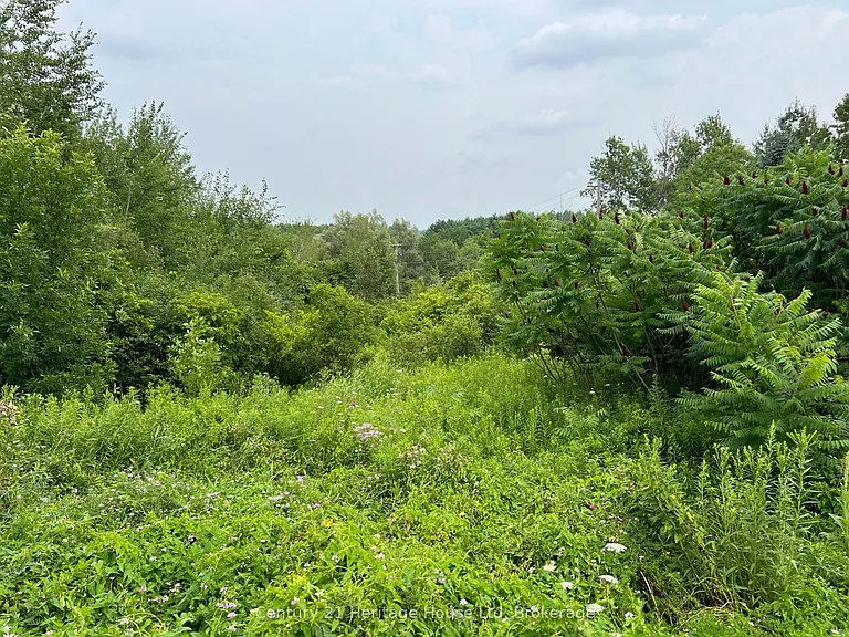 654 Woodlawn Rd E #B — Photo 46