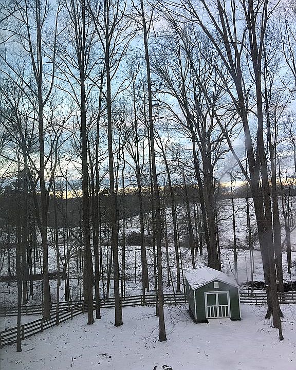 View out back with snow