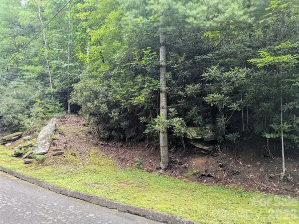 99999 Maryland Pl #1426, Montreat, NC 28757
