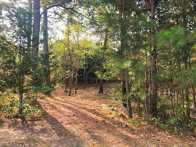 1st image of 140 Mill Cove Ln