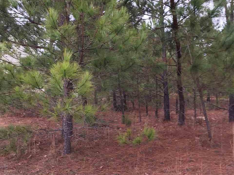 2nd image of 115 Hawk Ridge Dr Lot 61