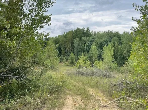 Saginaw Rd, Mayville, MI 48744