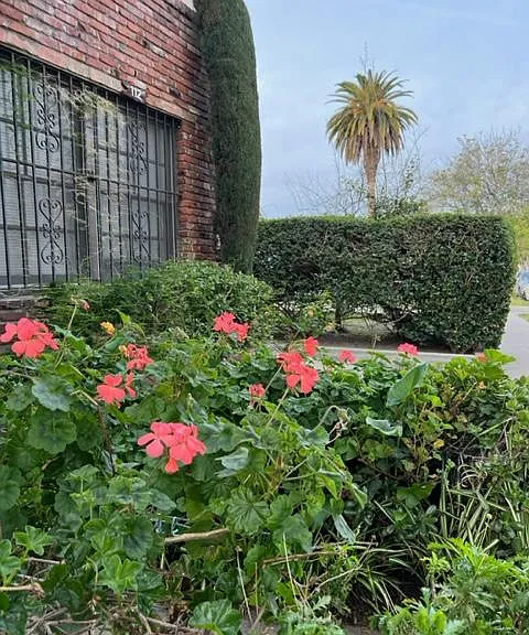 112 W Lomita Ave #3 — Photo 2