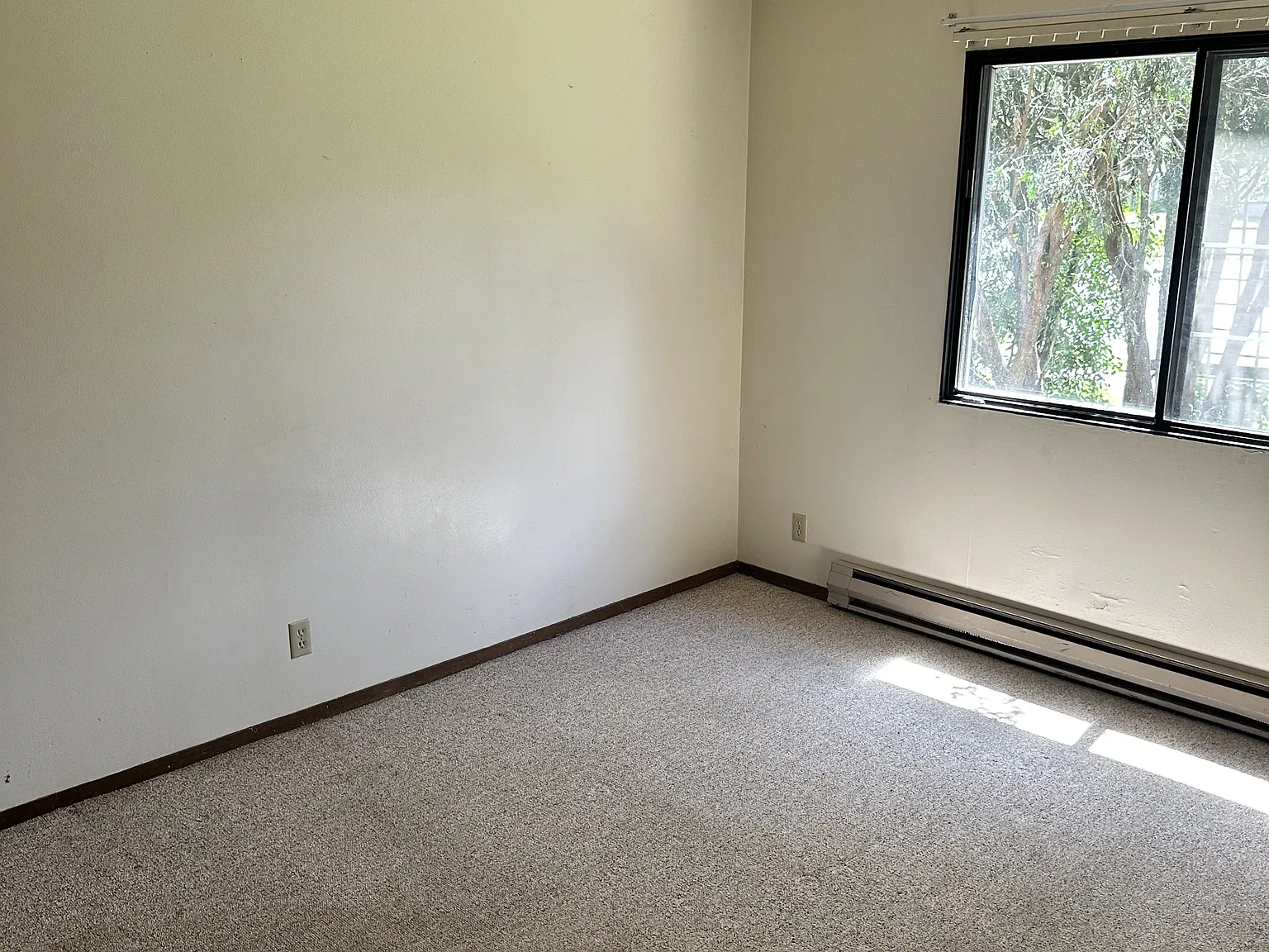 3606 Spring Street - 203 — Photo 4