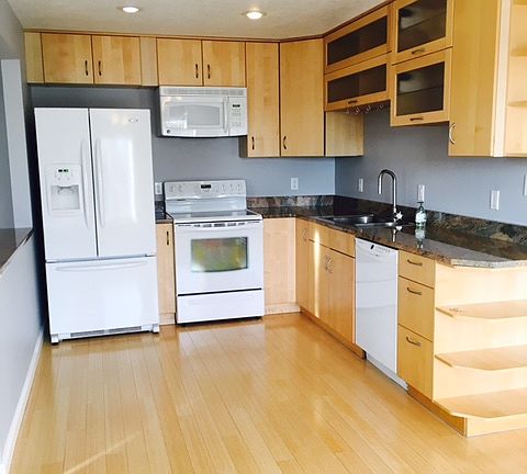 European Style Kitchen