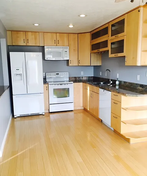 European Style Kitchen